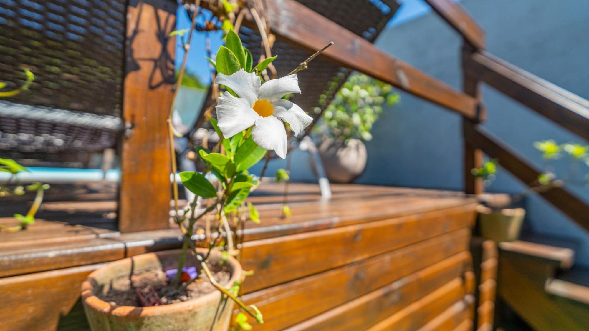 Residencial Com Piscina Possui Jacuzzi Aquecida Com Hidromassagem Villa Bombinhas Eksteriør billede